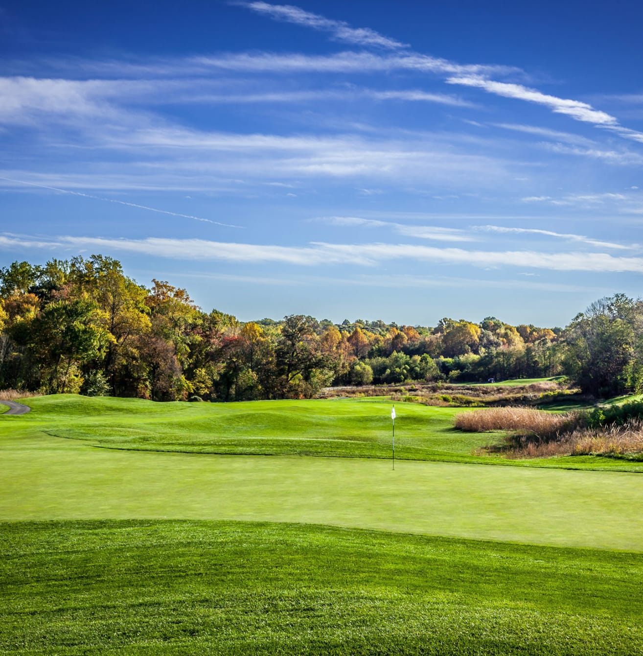 Hampshire Greens NIHGA