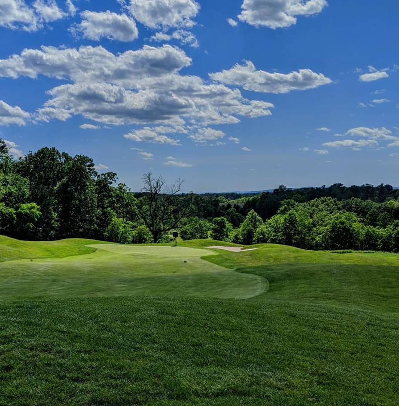 Whiskey Creek Golf Club, Courses